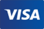 visa icon